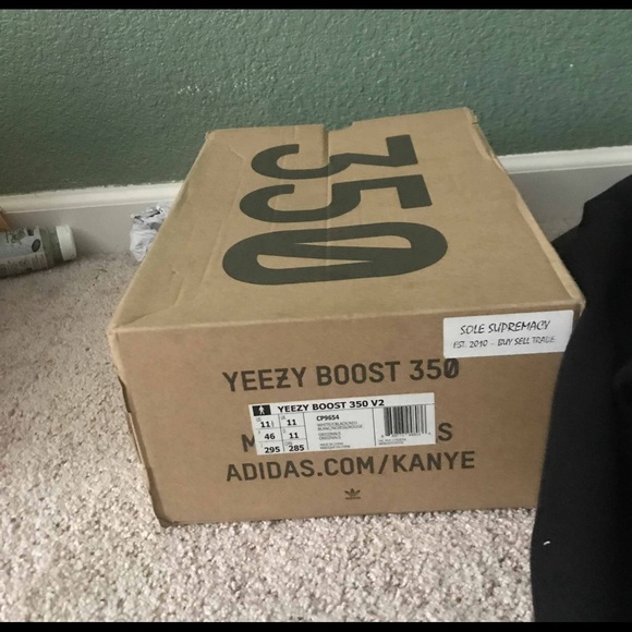 Zebras - Picture 6 of 6